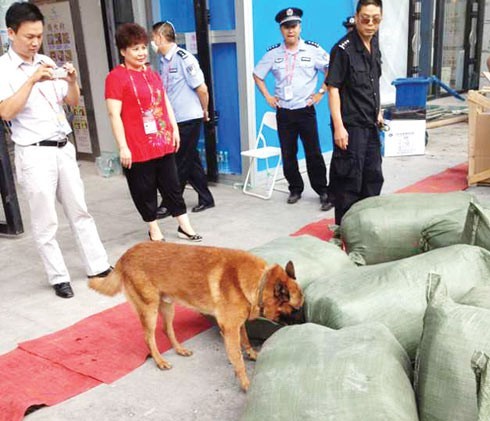 南寧國(guó)際會(huì)展中心引進(jìn)警犬替代X光機(jī)檢測(cè)大型包裹[圖]