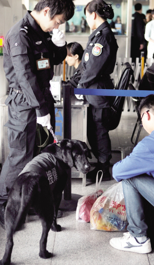 天津火車站安檢門與警犬齊上陣打造高等級安保體系